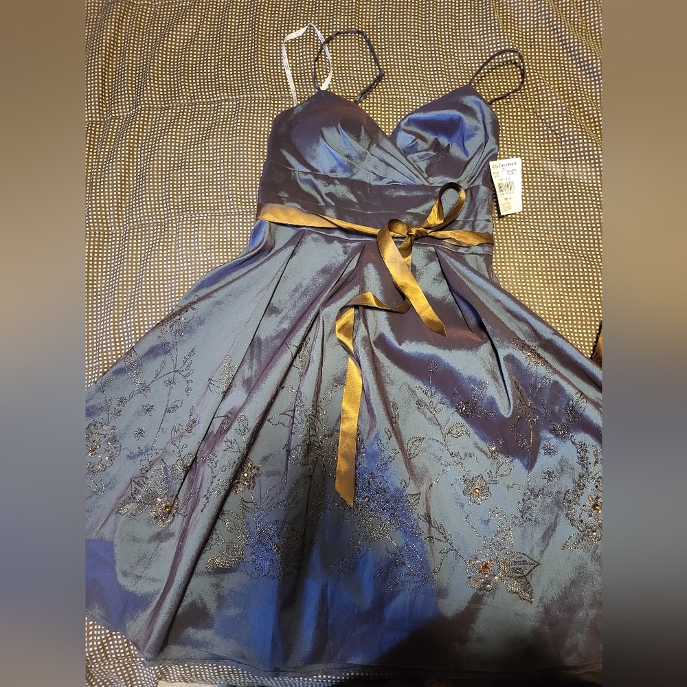 OC by Oleg Cassini Blue and Gold Dress Very Elegant